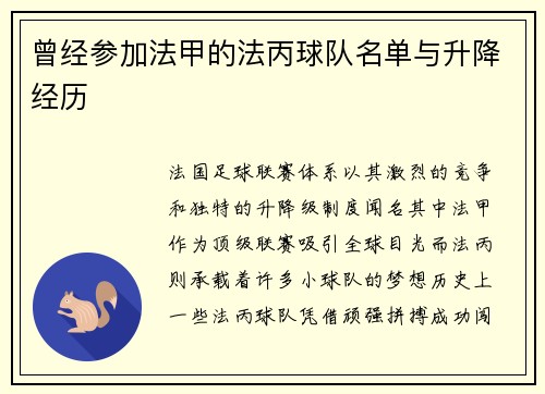 曾经参加法甲的法丙球队名单与升降经历